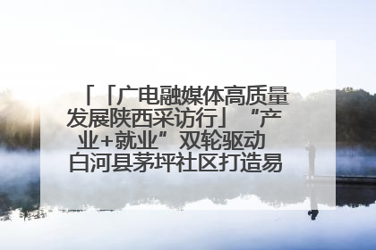 「广电融媒体高质量发展陕西采访行」“产业+就业”双轮驱动 白河县茅坪社区打造易地搬迁后扶新样本